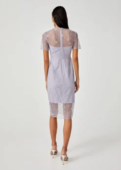 Alisha Lace Overlay Pencil Dress