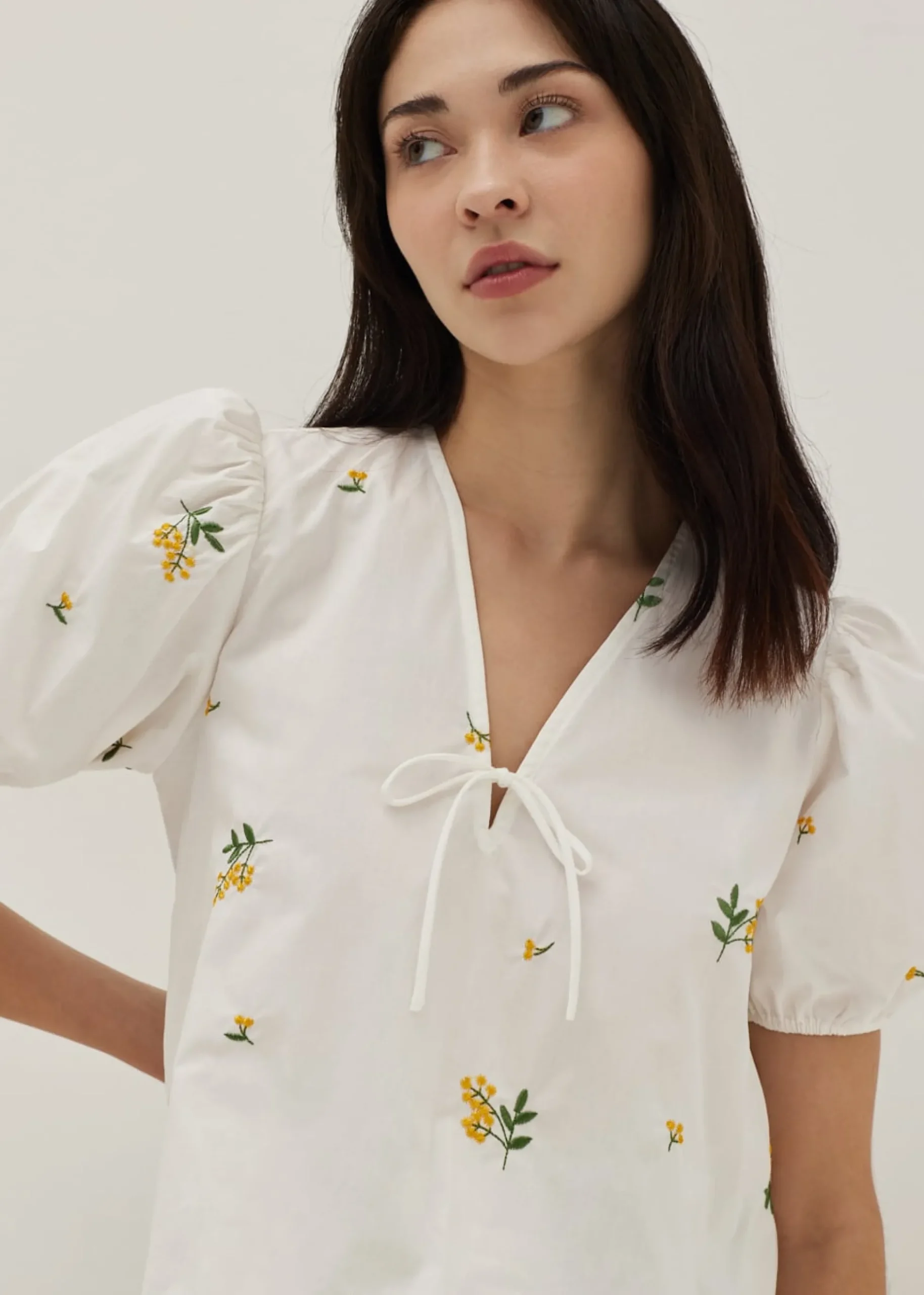 Calliope Embroidered Puff Sleeve Cotton Blouse