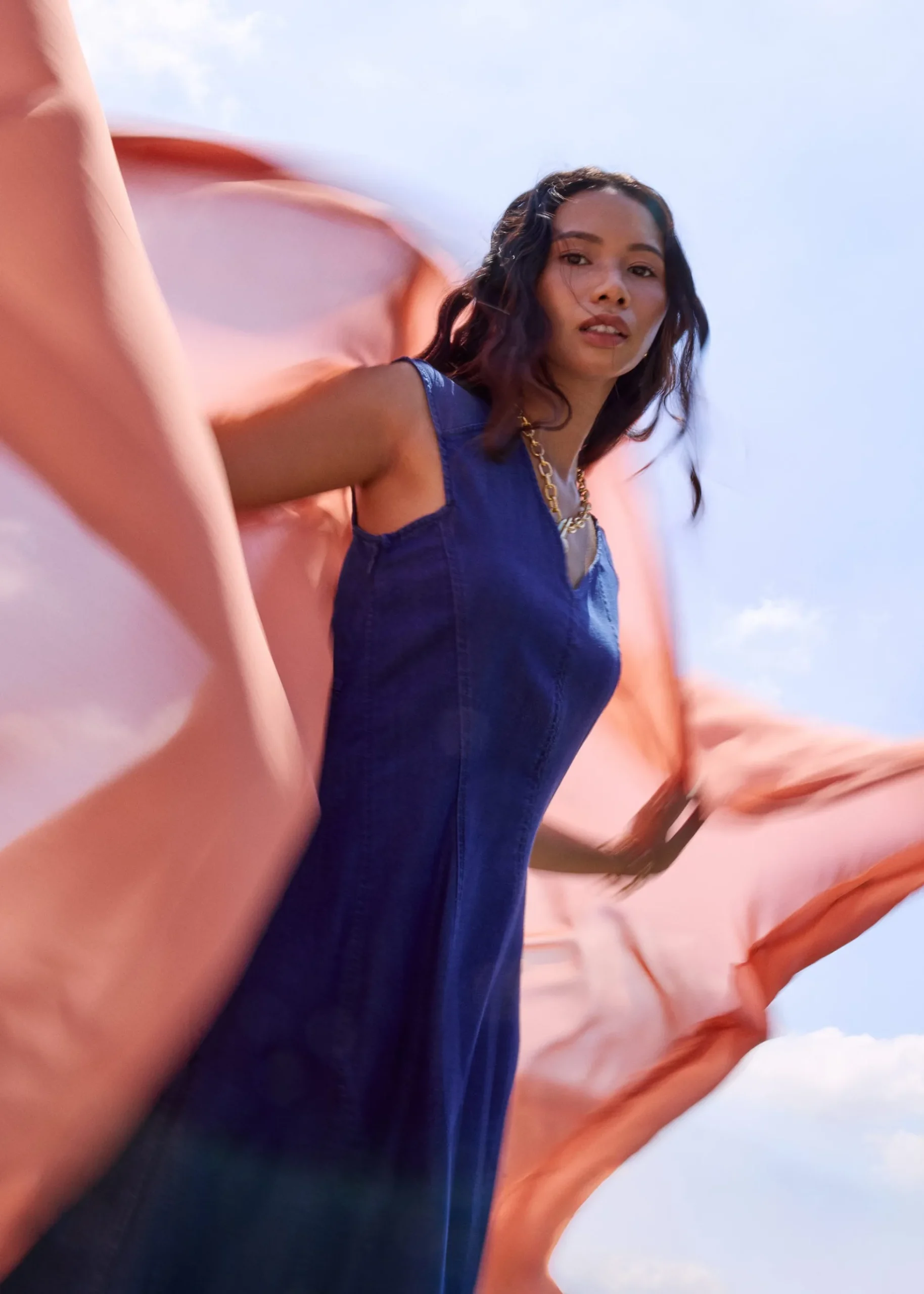 Chambray Panelled Cap Sleeve Fit & Flare Midi Dress