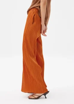 Leggy™ Anh Plissé Wide Leg Pants