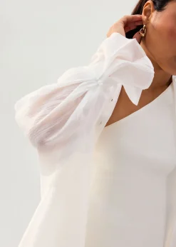 Oversized Sheer Lyocell Collared Poet Sleeve Blouse