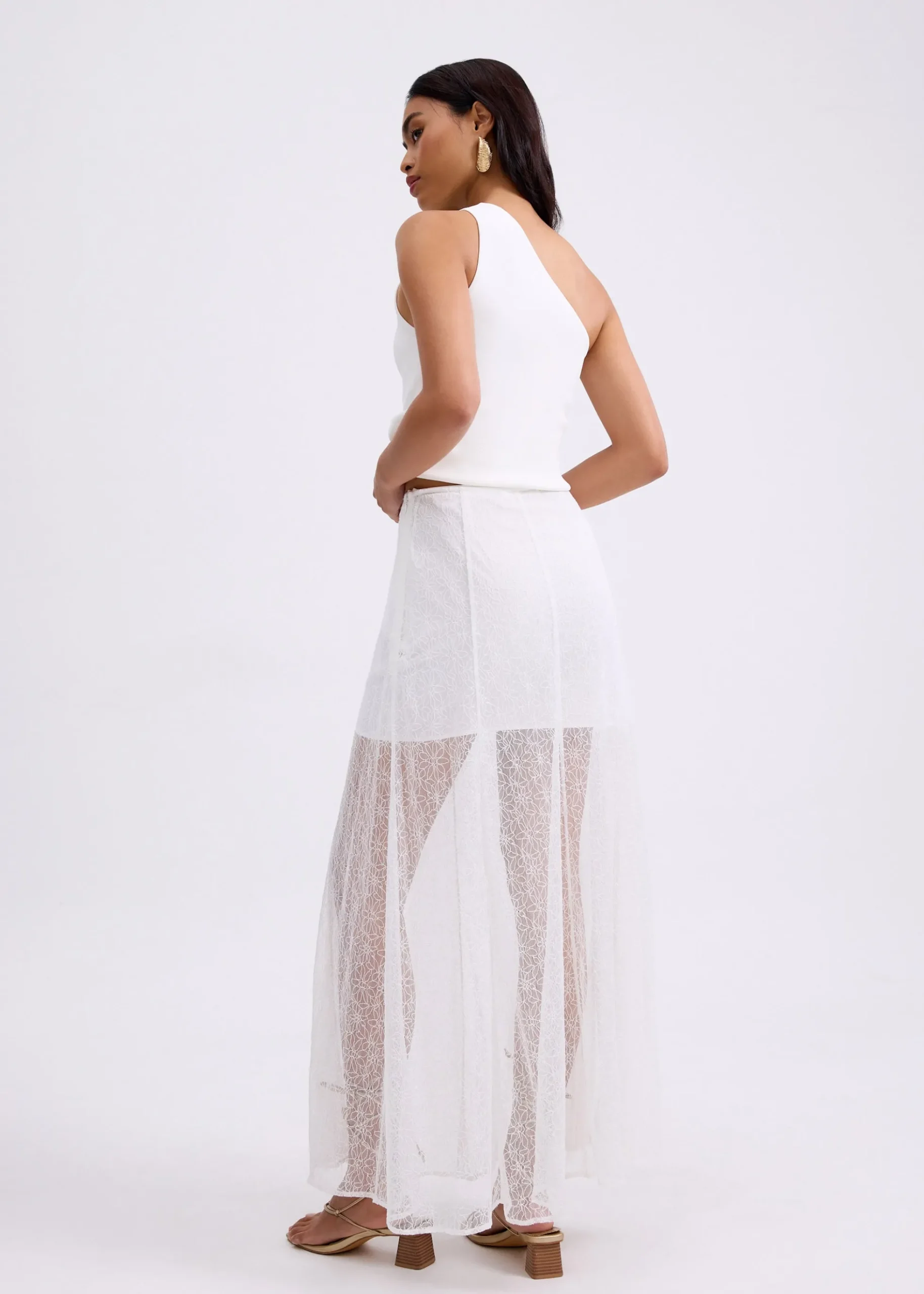 Sheer Lace A-Line Maxi Skirt