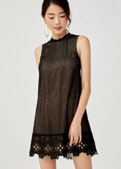 Tenley Lace Overlay Dress