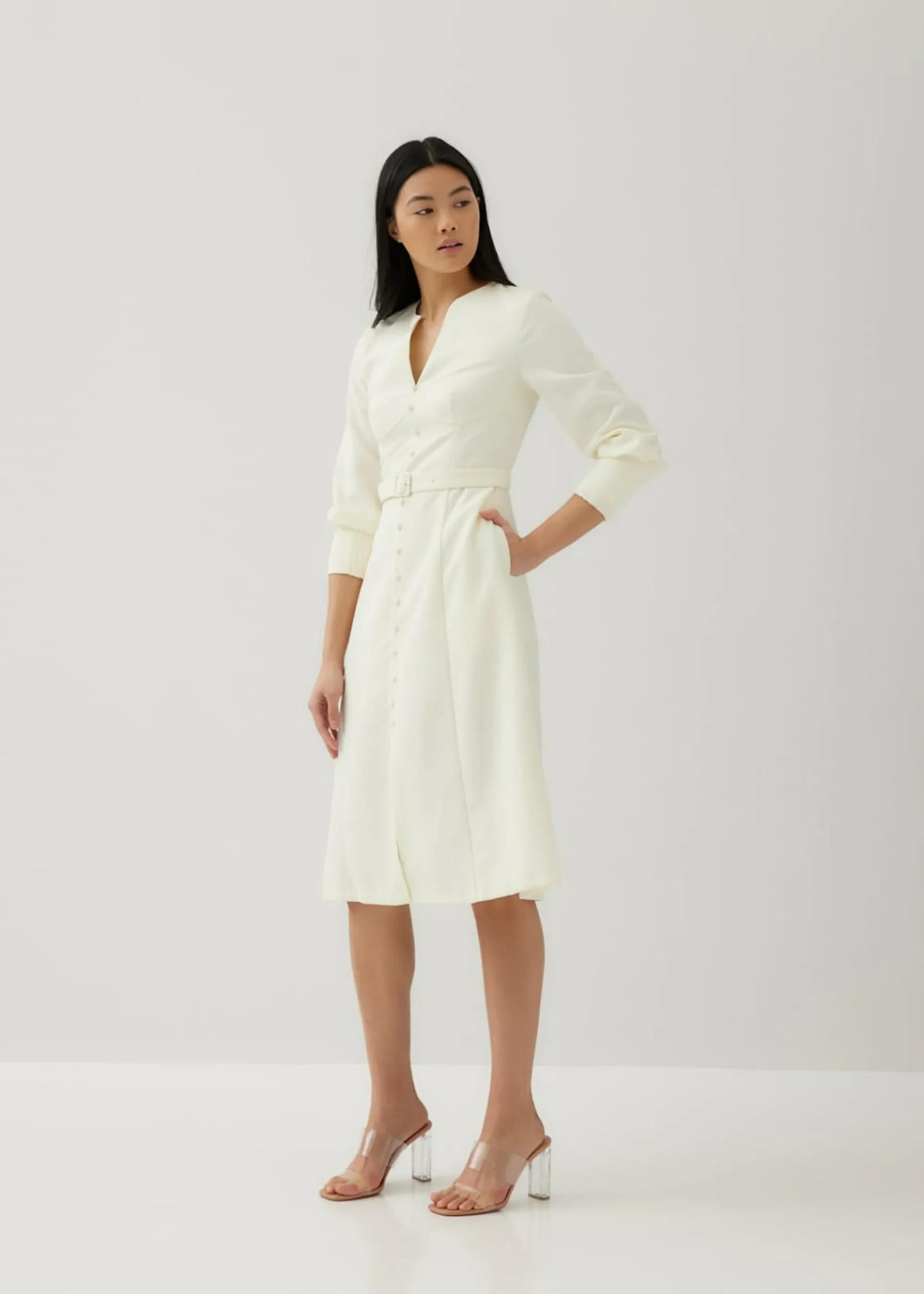 Yolly Panel Flare Dress